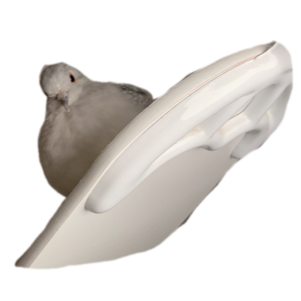 Pip